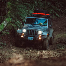 Charger l'image dans la galerie, 8001051