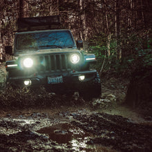 Charger l'image dans la galerie, 8001052