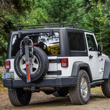 Charger l'image dans la galerie, 8002599